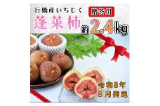AO-026_【予約・令和８年夏発送】行橋産いちじく（蓬莱柿）贈答用　2箱