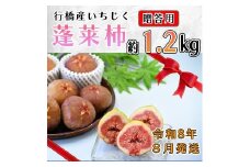 AO-025_【予約・令和８年夏発送】行橋産いちじく（蓬莱柿）贈答用　1箱