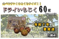 AO-021_乾燥蓬莱いちじく60ｇ（20g×3袋）