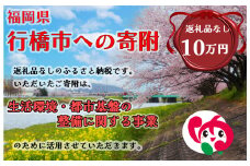 AJ-025_行橋市「生活環境・都市基盤等の整備に関する事業」への寄付【100,000円】（返礼品なし）