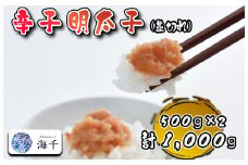 AQ-023_【食品添加物不使用】辛子明太子並切れ500ｇ×2