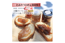 DD-008_行橋産いちじく　3種のいちじくジャム＆バターセット　ミニジャム45g×3種　おためしに最適