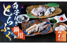 白子付き国産活本ふぐ（トラフグ）鍋用 《もり多》【豊前市】 とらふぐ ふぐ コース [VAF038]