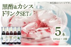 黒酢 ドリンク & カシス はちみつドリンク 3種 5本 セット《豊前市》【ハウスボトラーズ】飲料 黒酢 [VAX006]