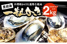 【先行予約】豊前海一粒かき 2kg 【2026年1月中旬以降順次発送】 《豊前市》【豊築漁業協同組合】 牡蠣 カキ かき 牡蛎 [VAG013]