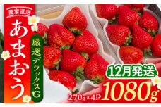 【先行予約】【12月発送】農家直送 あまおう 厳選デラックスG 1080g (270ｇ以上 × 4 パック) 土耕栽培《豊前市》【内藤農園】果物 いちご [VAB020]