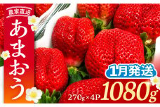 【先行予約】【1月発送】農家直送 あまおう 1080g (270g以上 × 4パック) 土耕栽培《豊前市》【内藤農園】果物 いちご [VAB004]