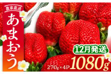 【先行予約】【12月発送】農家直送 あまおう 1080g (270g以上 × 4パック) 土耕栽培《豊前市》【内藤農園】果物 いちご [VAB006]