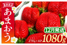 【先行予約】【12月発送】農家直送 あまおう 1080g (270g以上 × 4パック) 土耕栽培《豊前市》【内藤農園】果物 いちご [VAB006]