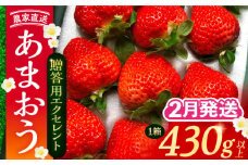 【先行予約】【2月-4月発送】 あまおう 贈答用 エクセレント 430g以上×1箱 《豊前市》【内藤農園】果物 いちご [VAB010]