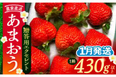 【先行予約】【1月発送】 あまおう 贈答用 エクセレント 430g以上×1箱 《豊前市》【内藤農園】果物 いちご [VAB009]