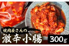 焼肉屋さんの超人気鉄板メニュー 激辛小腸【平壌屋】《豊前市》肉 焼肉 お肉 BBQ バーベキュー [VAH041]
