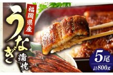 福岡県産 うなぎ 蒲焼 大5尾 合計 800 g（1尾あたり 160g以上）《豊前市》【福岡養鰻】 国産 鰻 蒲焼き [VAD004]