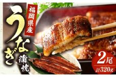 国産 うなぎ 蒲焼 大2尾 合計 320 g（1尾あたり 160g以上）《豊前市》【福岡養鰻】 国産 鰻 蒲焼き うなぎ ウナギ お祝い プレゼント 贈答 ギフト 国産うなぎ 国産鰻 人気 おすすめ 福岡産 土用の丑の日 贅沢 ご褒美 栄養 夏バテ [VAD002]