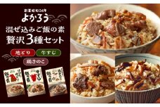 よかろう 混ぜ込みご飯の素 贅沢3種 食べ比べ セット 詰め合わせ 《豊前市》【有限会社よかろう】 鶏飯 鶏めし ご飯の素 炊き込みご飯の素 [VBA015]
