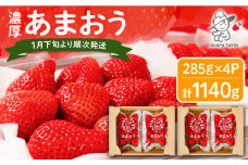 先行予約【2026年1月下旬～4月中旬発送】ココロファームの 濃厚あまおう 285g × 4P 約1,140g 《豊前市》 苺 いちご あまおう 福岡県産【※北海度・沖縄および離島への配送不可】[VAE022]
