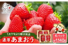先行予約【2026年1月下旬～4月中旬発送】ココロファームの 濃厚あまおう 285g × 4P 約1,140g 《豊前市》 苺 いちご あまおう 福岡県産【※北海度・沖縄および離島への配送不可】[VAE022]