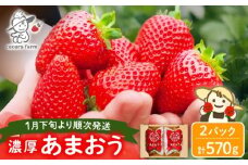 先行予約【2026年1月下旬～4月中旬発送】ココロファームの 濃厚あまおう 285g × 2P 約570g 《豊前市》 苺 いちご あまおう 福岡県産 【※北海度・沖縄および離島への配送不可】 [VAE007]