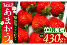 【先行予約】【12月発送】 あまおう 贈答用 エクセレント 430g以上×1箱 《豊前市》【内藤農園】果物 いちご [VAB013]