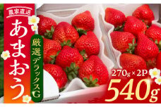 【先行予約】【2月-4月発送】農家直送 あまおう 厳選デラックスG 540g （270g以上 × 2 パック） 土耕栽培《豊前市》【内藤農園】果物 いちご [VAB015]