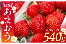 【先行予約】【2月-4月発送】農家直送 あまおう 540g （270g以上 × 2 パック） 土耕栽培《豊前市》【内藤農園】果物 いちご [VAB014]