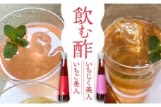 ＜いちじく美人・いちご美人＞ 飲む酢 2本 セット《豊前市》【株式会社ワカヤマ】地産 福岡 万能 調味料 酢 [VBW003]