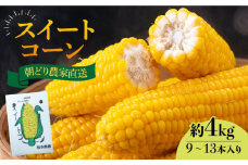 【先行予約】スイートコーン 約 4kg （9～13本入り）【2026年6月より順次発送】 《豊前市》【松本農園】野菜 とうもろこし [VBT001]