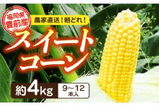 【先行予約受付　2026年6月頃より順次発送】【冷蔵配送】農家直送 朝どれ スイートコーン 約4kg（9～12本入り）《豊前市》【湯越農園】 野菜 コーン とうもろこし [VBC001]