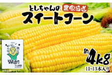 【2026年6月以降発送分予約】下山農園 としちゃん の 農家直送 スイートコーン 約 4kg (11～13本入り)【豊前市】とうもろこし 野菜 BBQ [VBH001]