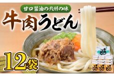 牛肉 うどん 12食  《豊前市》【富士菊】うどん 牛肉  [VAI006] 肉うどん