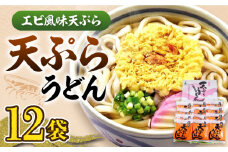 天ぷら うどん 12食 《豊前市》【富士菊】うどん 天ぷらうどん 天ぷら 麺 麺類 福岡 豊前  [VAI010]