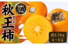 秋王 ( あきおう ) 柿 1.5kg 箱 (4-6玉)《豊前市》【南国フルーツ】柿 果物 フルーツ [VBY006]