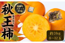 秋王 (あきおう) 柿 3kg 箱 (8-12玉)《豊前市》【南国フルーツ】柿 果物 フルーツ [VBY007]