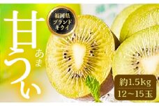 【福岡限定】ブランド キウイ「 甘うぃ ( あまうぃ )」約1.5kg箱(12-15玉)《豊前市》【南国フルーツ株式会社】キウイ 果物 フルーツ [VBY004]