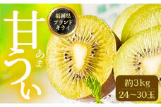 【福岡限定】ブランド キウイ「甘うぃ(あまうぃ)」約3kg箱(24-30玉) 《豊前市》【南国フルーツ株式会社】キウイ 果物 フルーツ [VBY005]