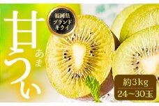 【先行予約】【福岡限定ブランド キウイ】「甘うぃ(あまうぃ)」約3kg箱(24-30玉) 【2025年10月以降順次発送】《豊前市》【南国フルーツ株式会社】キウイ 果物 フルーツ [VBY005]