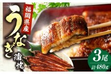 福岡県産 うなぎ 蒲焼 大3尾 合計 480 g（1尾あたり 160g以上）《豊前市》【福岡養鰻】 国産 鰻 蒲焼き [VAD003]