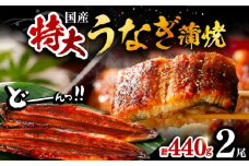 福岡県産 うなぎ 蒲焼 特大 2尾 合計 440 g（1尾あたり 220g以上）《豊前市》【福岡養鰻】 国産 鰻 蒲焼き [VAD001]