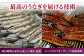 うなぎ 鰻 国産 福岡県産 蒲焼 かば焼き 土用 丑の日 ギフト 贈答