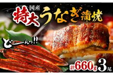 福岡県産 うなぎ 蒲焼 特大 3尾 合計 660 g（1尾あたり 220g以上）《豊前市》【福岡養鰻】 国産 鰻 蒲焼き [VAD005]