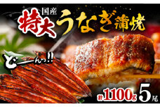 福岡県産 うなぎ 蒲焼 特大 5尾 合計 1,100 g（1尾あたり 220g以上）《豊前市》【福岡養鰻】 国産 鰻 蒲焼き [VAD006]