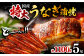うなぎ 鰻 国産 福岡県産 蒲焼 かば焼き 土用 丑の日 ギフト 贈答