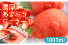 福岡産 濃厚 あまおう ジェラート 1000ml《豊前市》【南国フルーツ株式会社】いちご アイス 福岡 お中元 ＜離島配送不可＞ [VBY001]