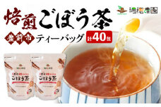 焙煎ごぼう茶ティーバッグ40包 《豊前市》【瑞穂農園】 飲料 お茶 [VBG005]