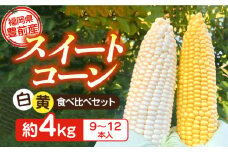 【先行予約受付　2026年6月頃より順次発送】【冷蔵配送】農家直送 朝どれ スイートコーン 白 黄 食べ比べ セット 約4kg （9～12本入り）《豊前市》【湯越農園】 野菜 コーン [VBC002]