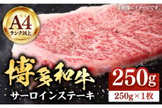 博多和牛サーロインステーキ 250g（250g×1枚）【株式会社Meat Plus】《豊前市》肉 焼肉 ステーキ お土産 冷凍 [VBB009]