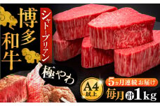 【全5回定期便】博多和牛 ヒレ シャトーブリアン 200g × 5枚《豊前市》【久田精肉店】 [VBK031]
