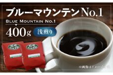 【粉でお届け】ブルーマウンテン NO.1 コーヒー （ 浅煎り ） 《豊前市》【稲垣珈琲】 珈琲 コーヒー 豆 粉 [VAS001-2]