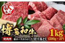 【訳あり】博多和牛 焼肉 切り落とし1kg（500g×2p）《豊前市》【MEAT PLUS】肉 お肉 牛肉 [VBB045]
