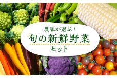 農家が選ぶ！ 旬の新鮮野菜セット《豊前市》【田村農産】産直 野菜 やさい 詰め合わせ [VBE002]